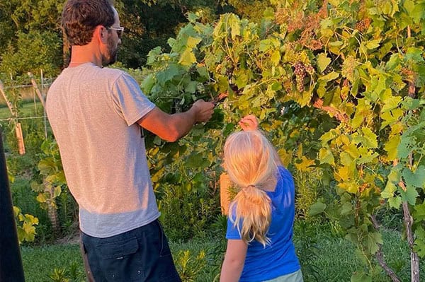 EJ and Mae at a Vineyard